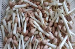 赤峰摘菜機廠家聯(lián)系電話號碼