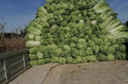 赤峰紅山區(qū)賣帽子的電話號(hào)碼