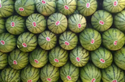 赤峰烏丹禽類屠宰場電話號碼