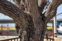 赤峰萬祥商貿(mào)有限公司電話號碼