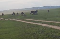 赤峰市惜雪畫室電話地址查詢