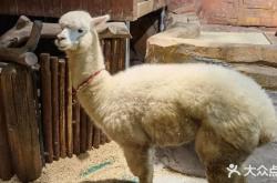 赤峰市貝爾游樂園電話號碼