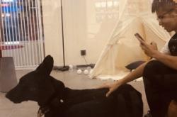 赤峰大型寵物店電話號(hào)碼多少