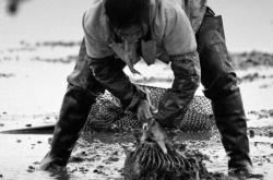 采貝機(jī)赤峰市售后電話號(hào)碼