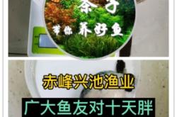 赤峰市老板水產(chǎn)店地址電話號(hào)碼