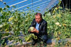 赤峰大棚遮陽棚廠家電話號碼