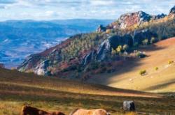 赤峰旅游團定制電話號碼查詢