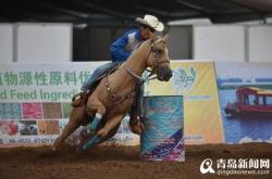 赤峰樂馭馬術(shù)館電話號碼查詢