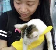 赤峰流浪貓狗救助站電話(huà)號(hào)碼