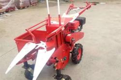 赤峰收玉米棒電話是多少號