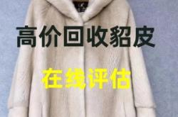 赤峰市貂皮回收廠家電話號碼