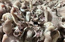 赤峰市園林路羊頭館電話號(hào)碼