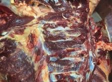 赤峰草地黃膘牛肉食店電話號(hào)碼