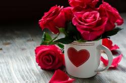 赤峰花思語(yǔ)花店電話號(hào)碼查詢