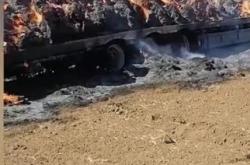 赤峰天然草捆出售電話號(hào)碼是多少