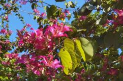 赤峰花花牛飲料廠地址電話號(hào)碼