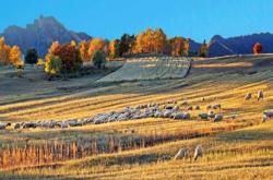 赤峰蒙民服裝廠招聘電話號(hào)碼