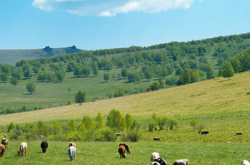赤峰錦惠大藥房電話多少號
