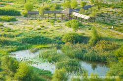 赤峰辦公集裝箱房出租電話號(hào)碼