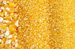 赤峰玉米粉加工廠電話號(hào)碼