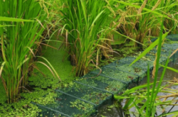 赤峰養(yǎng)驢托管電話號碼查詢是多少