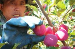 赤峰寶石原料加工廠電話號(hào)碼