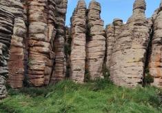 赤峰阿偉美發(fā)電話多少號(hào)