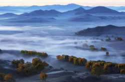 赤峰楊樹(shù)溝門(mén)村委會(huì)電話號(hào)碼