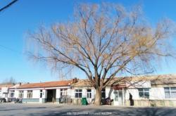 赤峰紅廟子鎮(zhèn)武裝部電話號碼