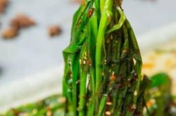 赤峰秦家燒烤店地址電話號碼