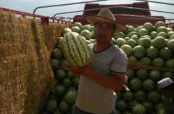 赤峰至烏丹家電物流電話號(hào)碼