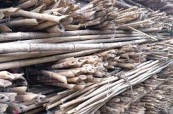 赤峰市賣竹竿廠家電話號碼