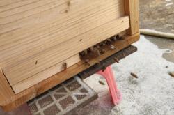 赤峰市新蜂酒吧電話地址查詢