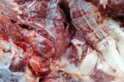 赤峰賣鮮驢肉電話多少號啊