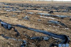 赤峰市寧城縣民委電話號碼