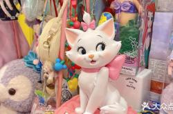 赤峰中古玩具店電話(huà)號(hào)碼