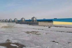 赤峰中糧物流園電話地址查詢