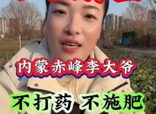 赤峰土豆基地電話多少啊