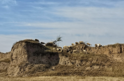 赤峰市寧城魚具店電話地址查詢