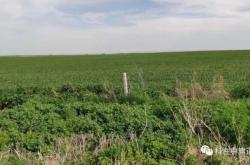 赤峰強(qiáng)潤(rùn)奶牛場(chǎng)地址電話號(hào)碼