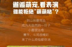 赤峰市賣鴨子的地方電話號碼