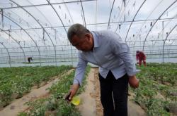 赤峰松山區(qū)裁縫店電話號碼