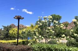 赤峰志偉紅磚廠電話多少號(hào)