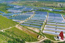 赤峰潤(rùn)隆犬舍電話號(hào)碼多少