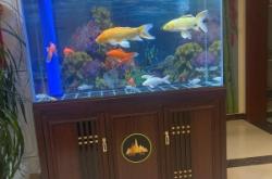 赤峰回收魚(yú)缸電話多少啊