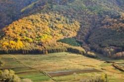 赤峰茗雅茶樓電話多少號(hào)碼