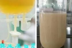 赤峰市醫(yī)院血漿機(jī)采購電話號(hào)碼