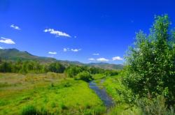 赤峰小豬班納電話號碼查詢是多少