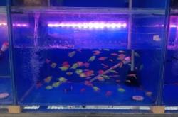 赤峰魚缸管道組裝廠電話號碼