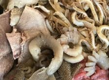 赤峰紅辣椒火鍋店地址電話號碼